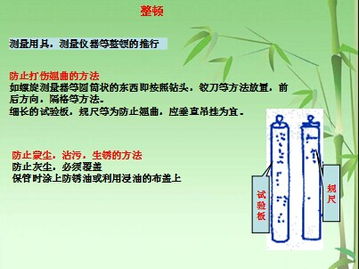 信息咨询服务 为企业与个人提供专业解决方案